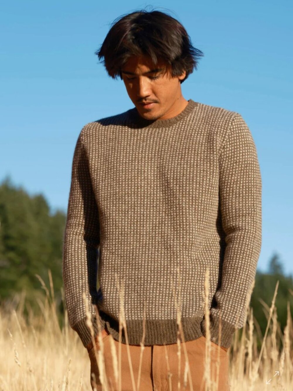 Mollusk Beacon Sweater